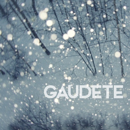 Gaudete